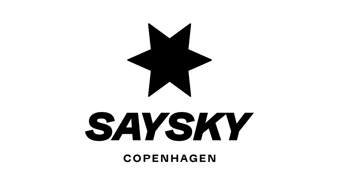 SAYSKY logo