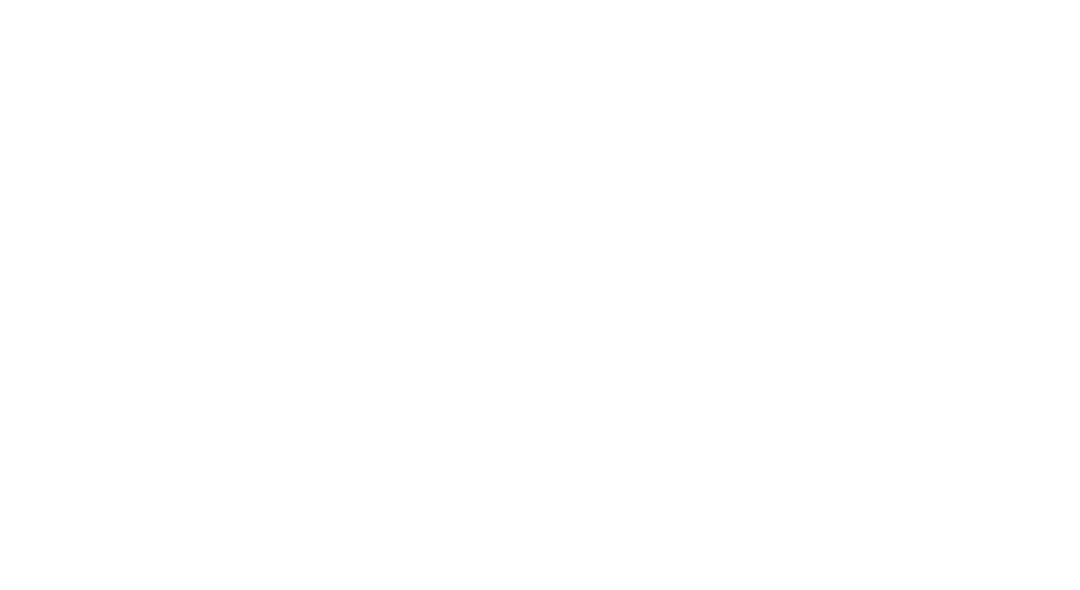 2ned Logo